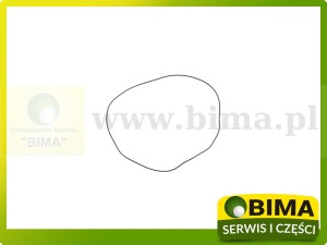 ORING SPRZĘGŁA FENDT X549045766000