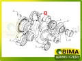 BIMA7508023b.jpg