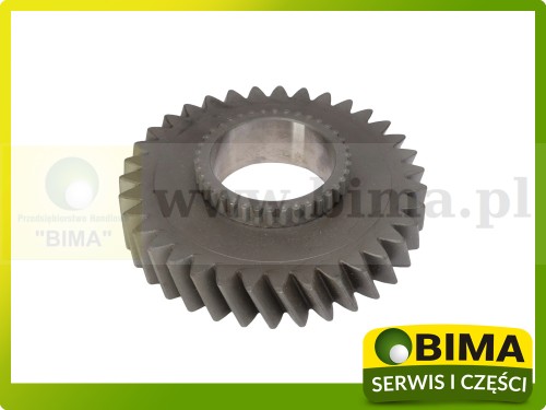 BIMA7508033A.jpg