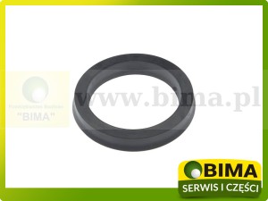 USZCZELNIACZ PIERŚCIEŃ USZCZELNIAJĄCY CLAAS DOMINATOR 000670988