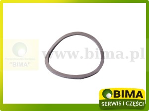 PIERŚCIEŃ USZCZELNIAJĄCY USZCZELNIACZ CLAAS DOMINATOR 000239109