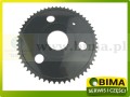 4915b.jpg