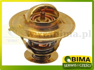 TERMOSTAT CASE IH