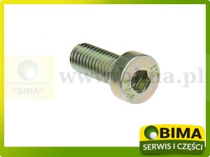 ŚRUBA MOCUJĄCA SZYBĘ RENAULT CLAAS ORYGINAŁ
