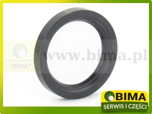 USZCZELNIACZ 54x73x11