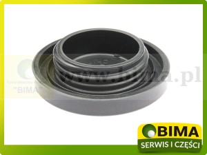 ZAŚLEPKA POKRYWY SILNIKA CASE