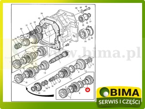 KOŁO ZĘBATE JOHN DEERE AL81911