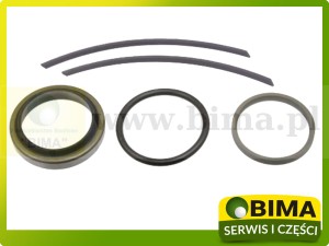 ZESTAW NAPRAWCZY WYSPRZĘGLIKA MASSEY FERGUSON