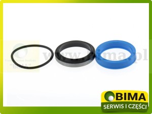 ZESTAW USZCZELNIACZY SIŁOWNIKA RENAULT CLAAS