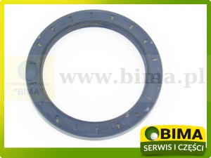 USZCZELNIACZ 100X130X12